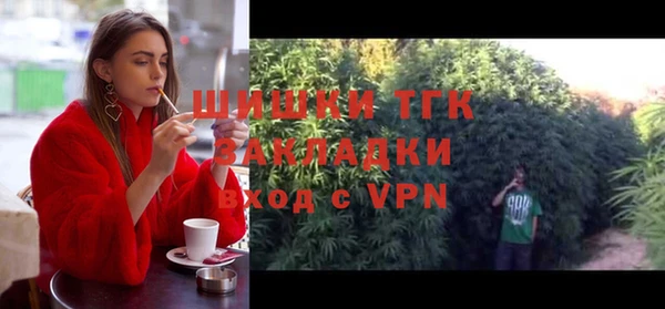 гидропоника Гусь-Хрустальный