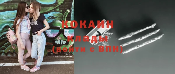 гидропоника Гусь-Хрустальный