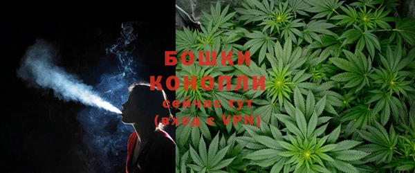 круглые Гусев