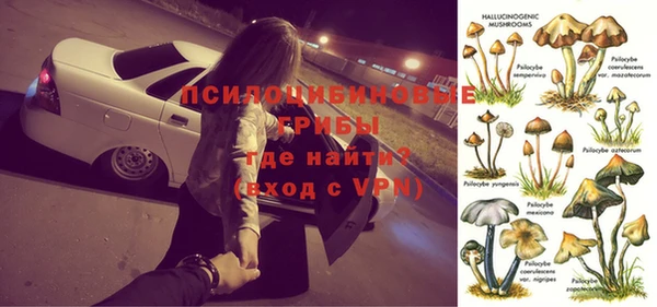 круглые Гусев