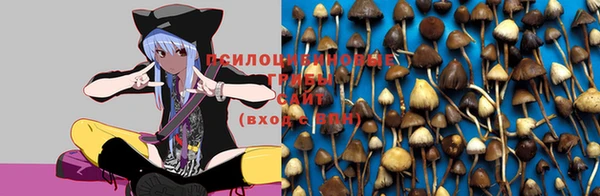 круглые Гусев