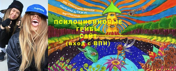 гидропоника Гусь-Хрустальный