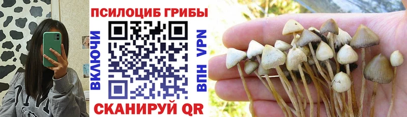 Псилоцибиновые грибы мицелий  Сергач 
